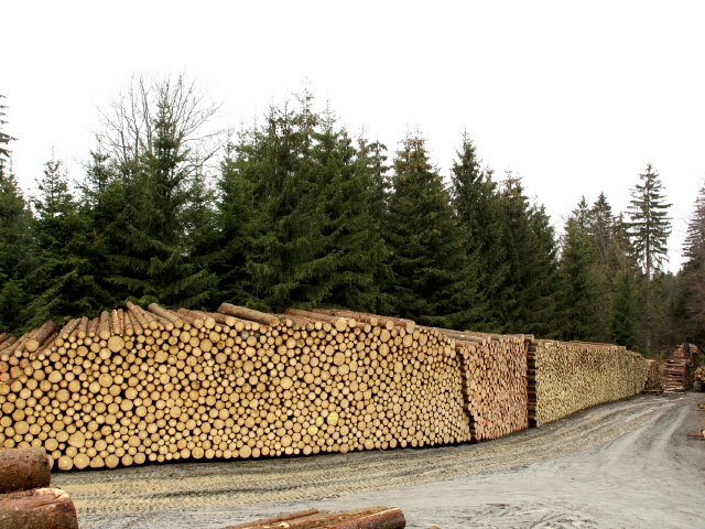 Holz- u. Brennholzhandel